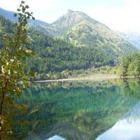 專注入境旅游業務，打造卓越旅行體驗